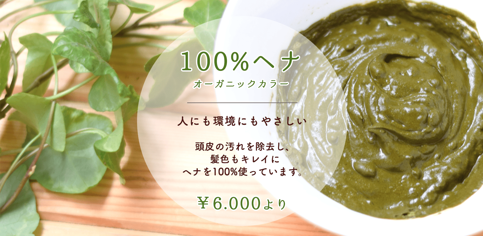 top_img_pr02 「100%ヘナ/オーガニックカラー」人にも環境にもやさしい 頭皮の汚れを除去し、髪色もキレイに。ヘナを100%使っています。 6000円より